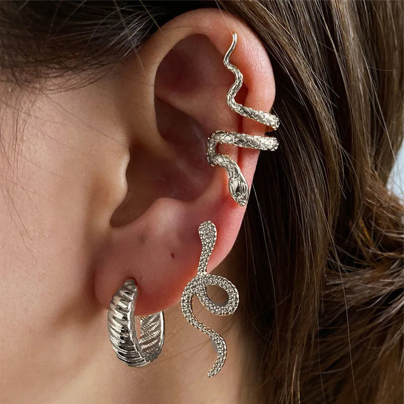 Set Snake Shape Earrings